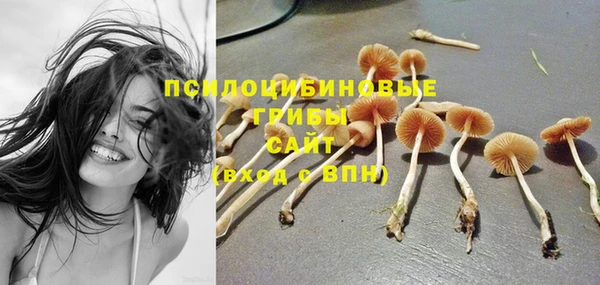 МДПВ Алзамай