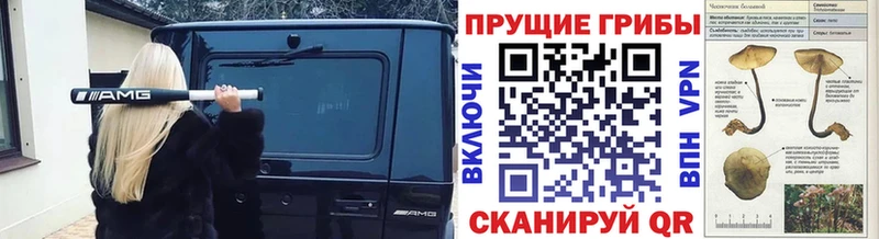 МЕГА ССЫЛКА Алушта Псилоцибиновые грибы Magic Shrooms