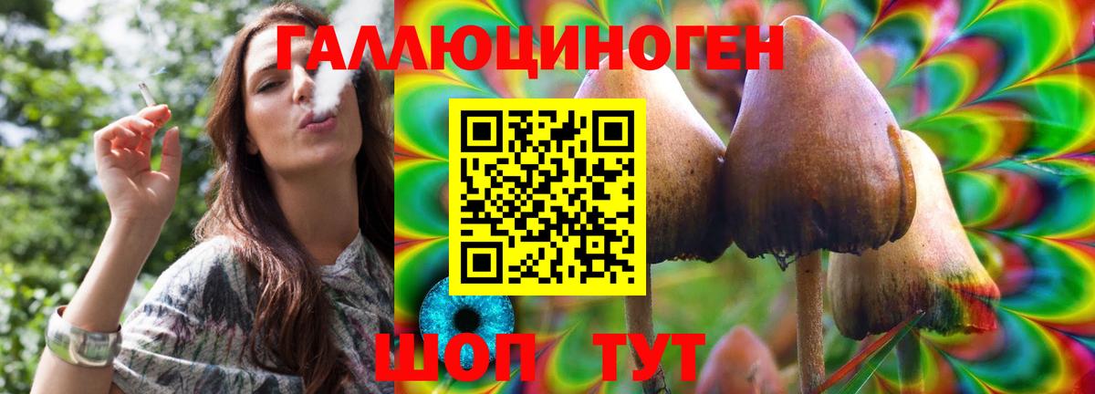 что такое   Галлюциногенные грибы мицелий  Алушта  Вход с VPN  Галлюциногенные грибы ЛСД 